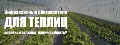 Електричні інфрачервоні обігрівачі для теплиць: поради та відгуки, які вибрати?