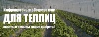 Електричні інфрачервоні обігрівачі для теплиць: поради та відгуки, які вибрати?